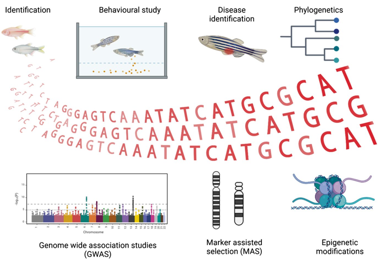 Genomic application