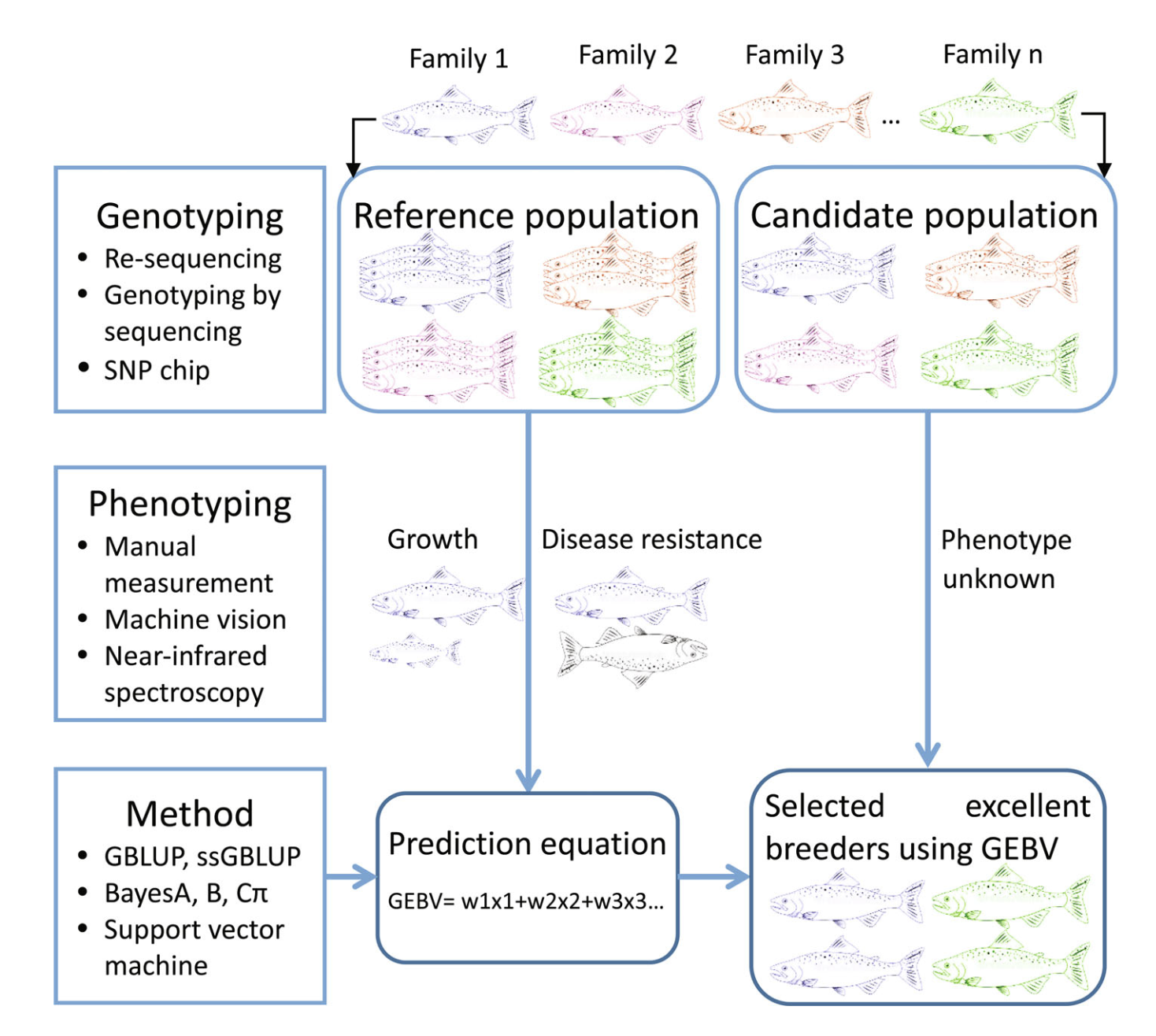 Genomic selection