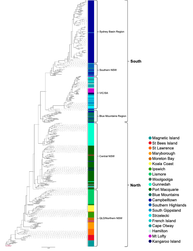 Analisis filogenomik