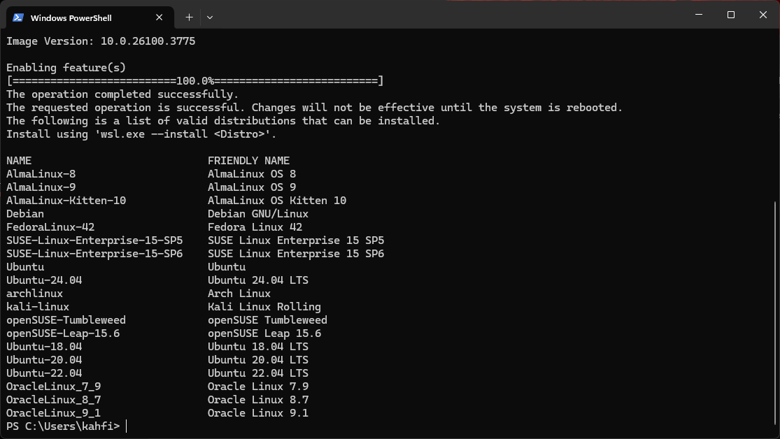 WSL Distro