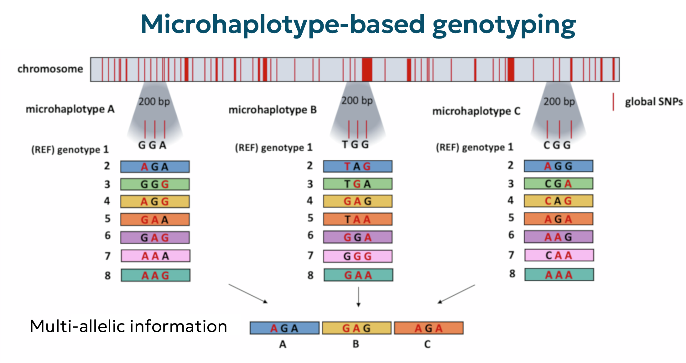 Genomic selection