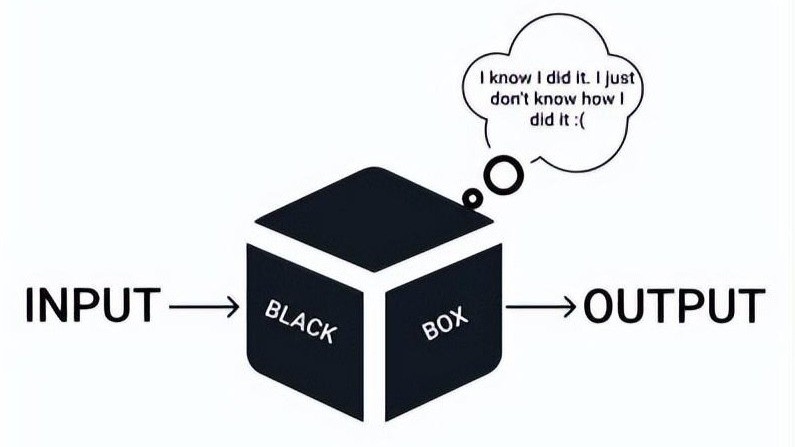 Blakbox Paradox